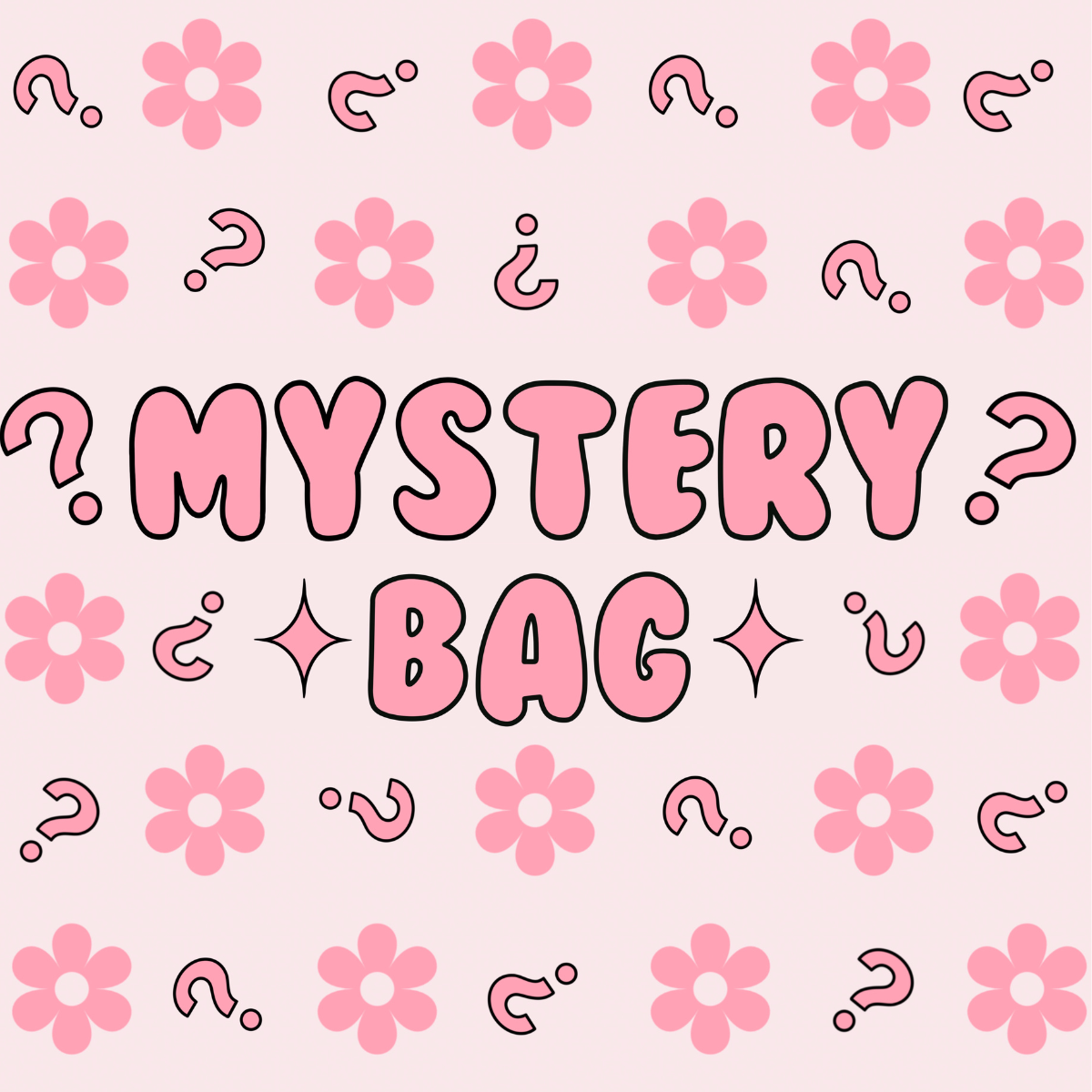 Medium Mystery Bag